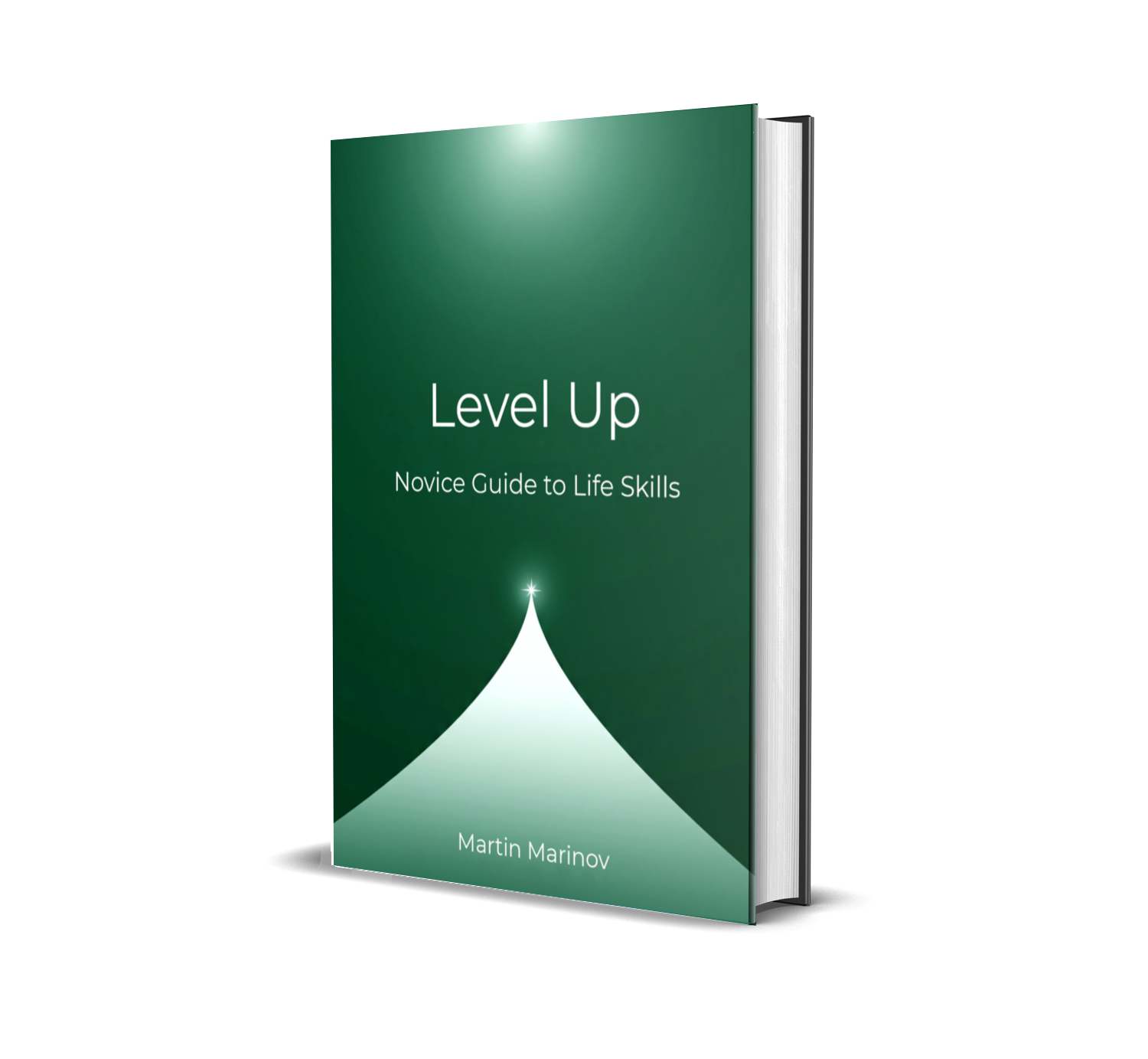 Level Up Book Cover